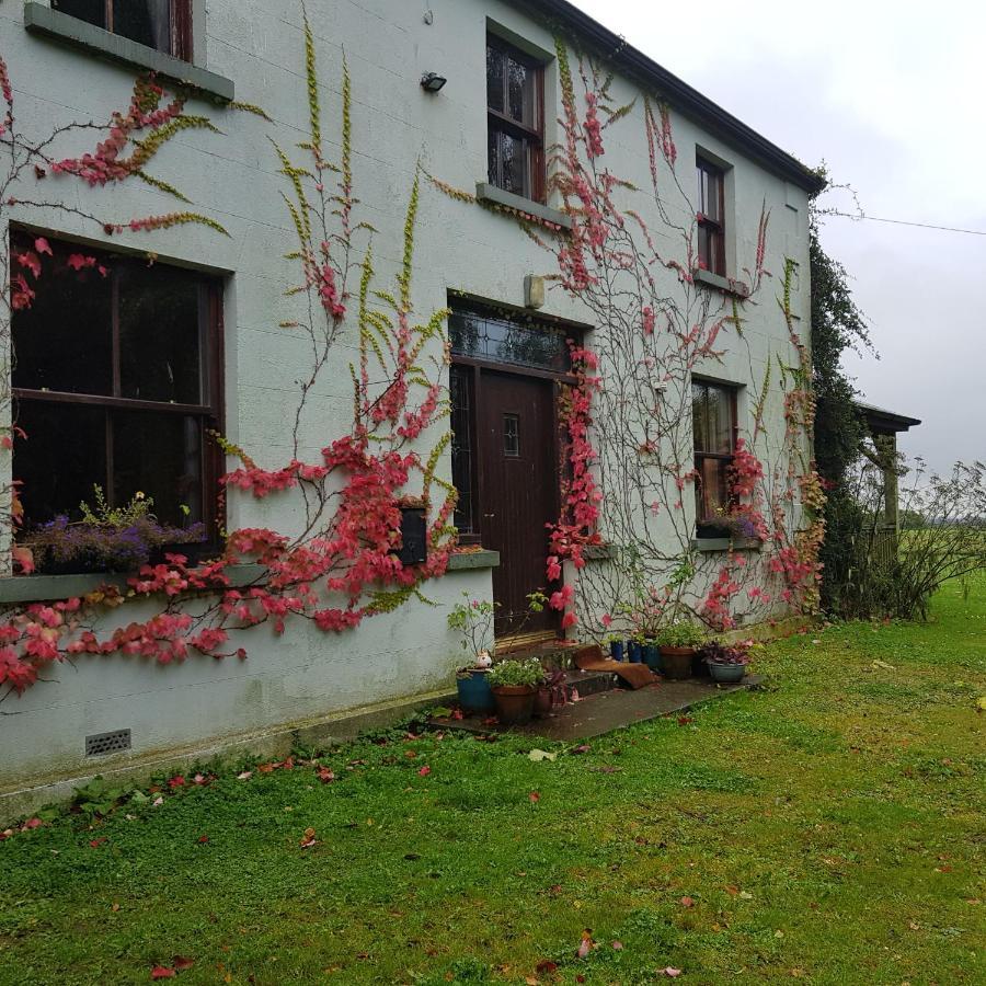 Villa Oldfarm Nenagh Exterior foto